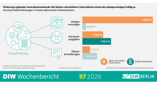 Clusterförderung: KMU profitieren besonders von Innovationsnetzwerken - Quelle: DIW Berlin