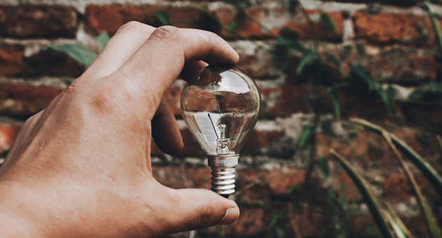 Wie passgenaue Förderung grüne Innovationen wirksam unterstützen kann - Quelle: Arturo Anez/Unsplash