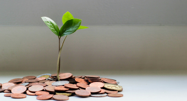 Diese Unternehmen gelten als wirtschaftliche Vorreiter - Quelle: Micheile Henderson/Unsplash