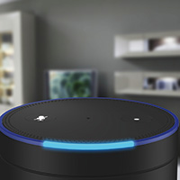 Die Voice-Search-Ära hat begonnen -